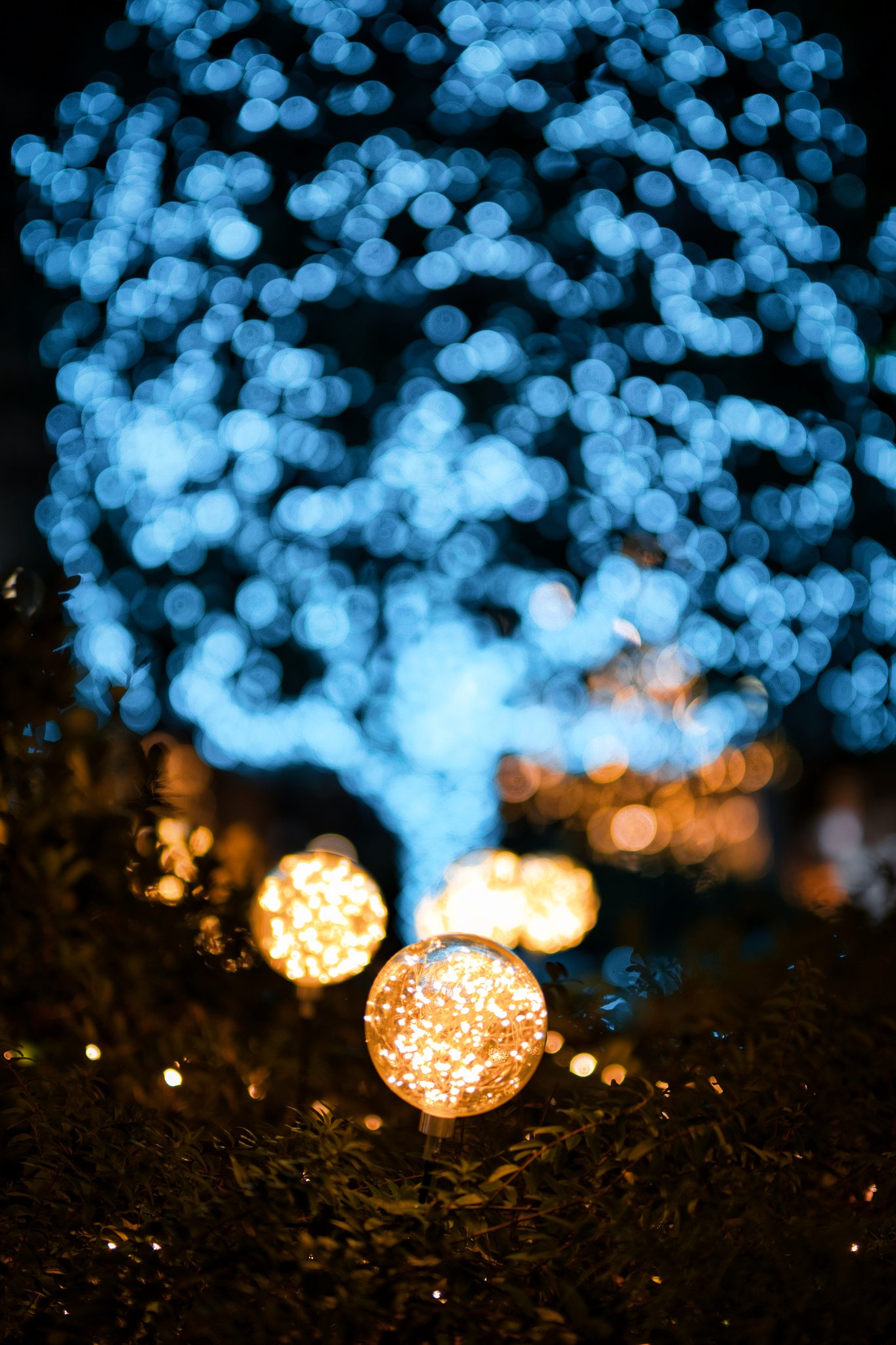 電飾４