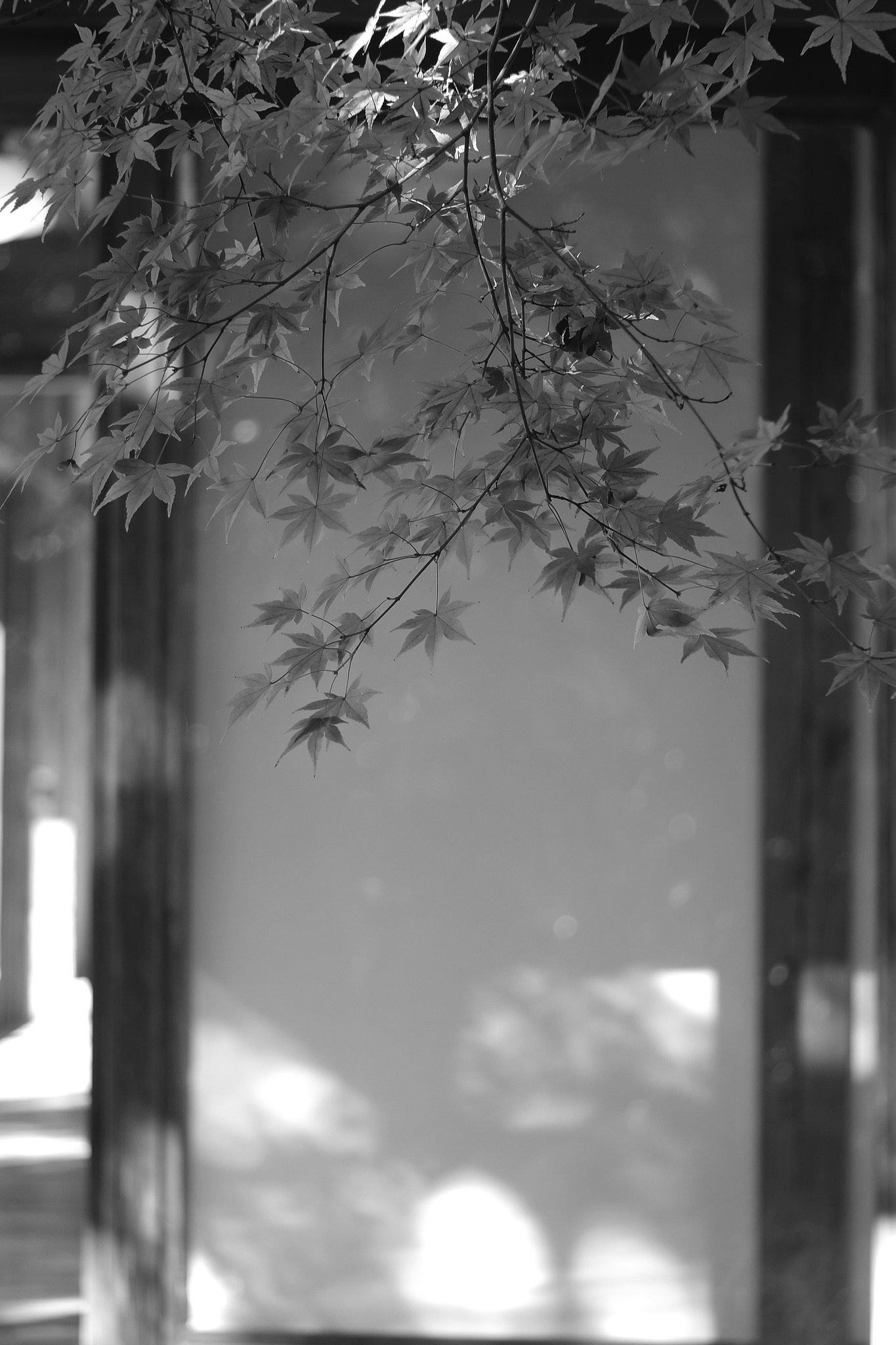 エルマー65㎜F3.5