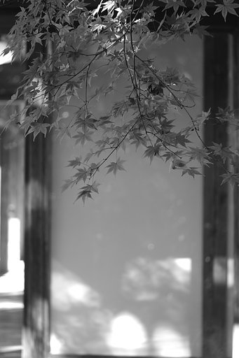 エルマー65㎜F3.5