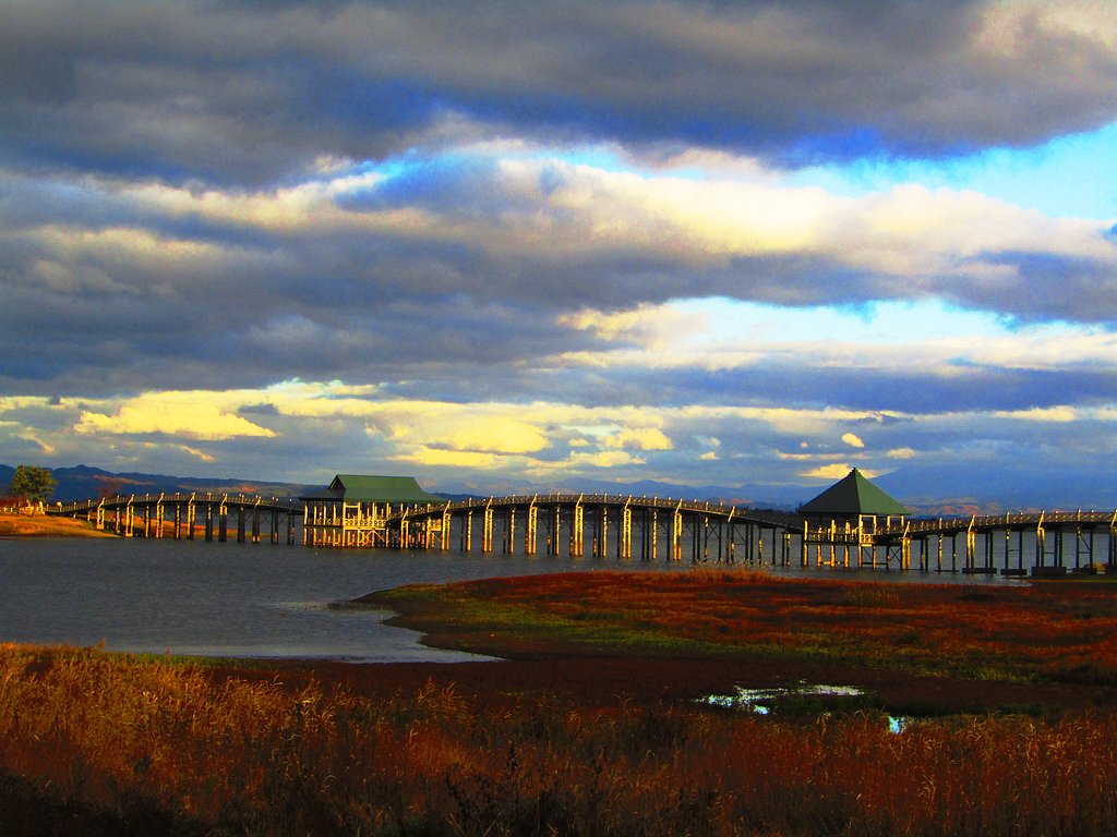 夕陽の鶴の舞橋