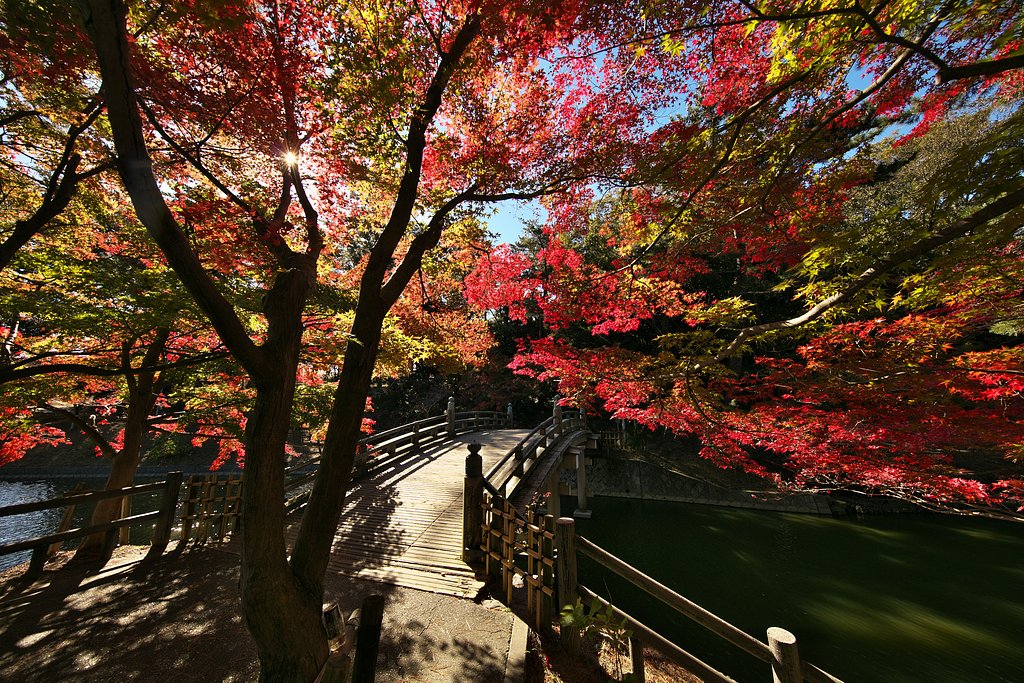 EF11-24mm F4L