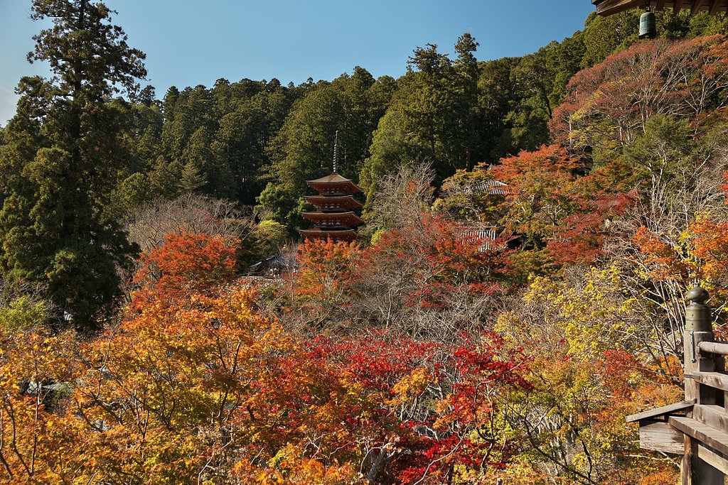 EF35mm F1.4LⅡ