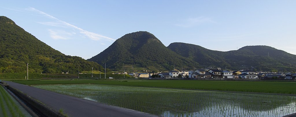 散歩撮影