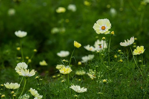 EF180mm F3.5 L Macro