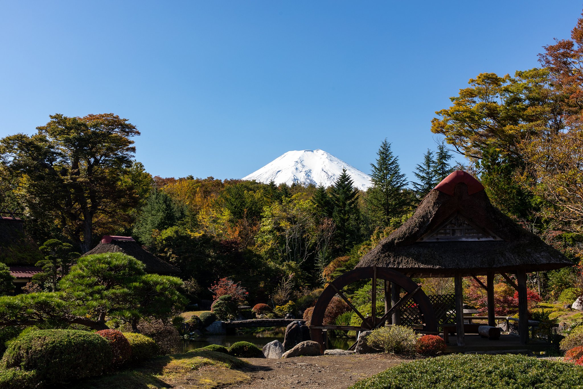 EF24-70mm F4 L IS
