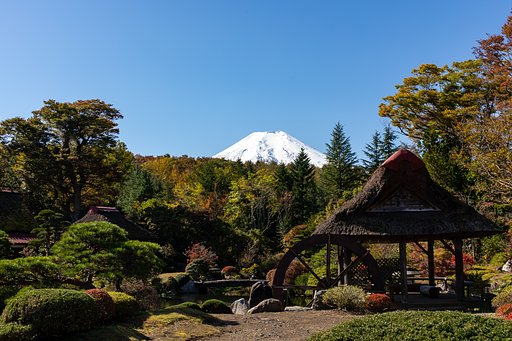 EF24-70mm F4 L IS