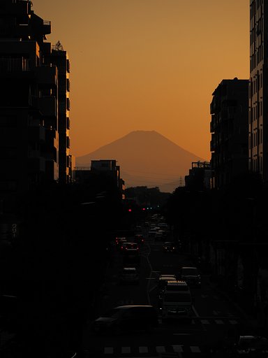 ◎Pana-LEICA DG VARIO ELMARIT50-200mm/F2.8-4 ASPH.