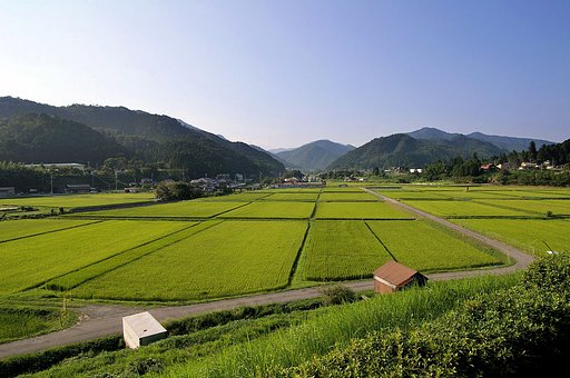 帰省