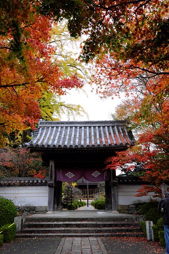 紅葉