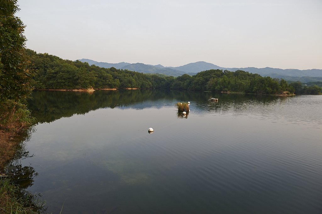 溜池散歩