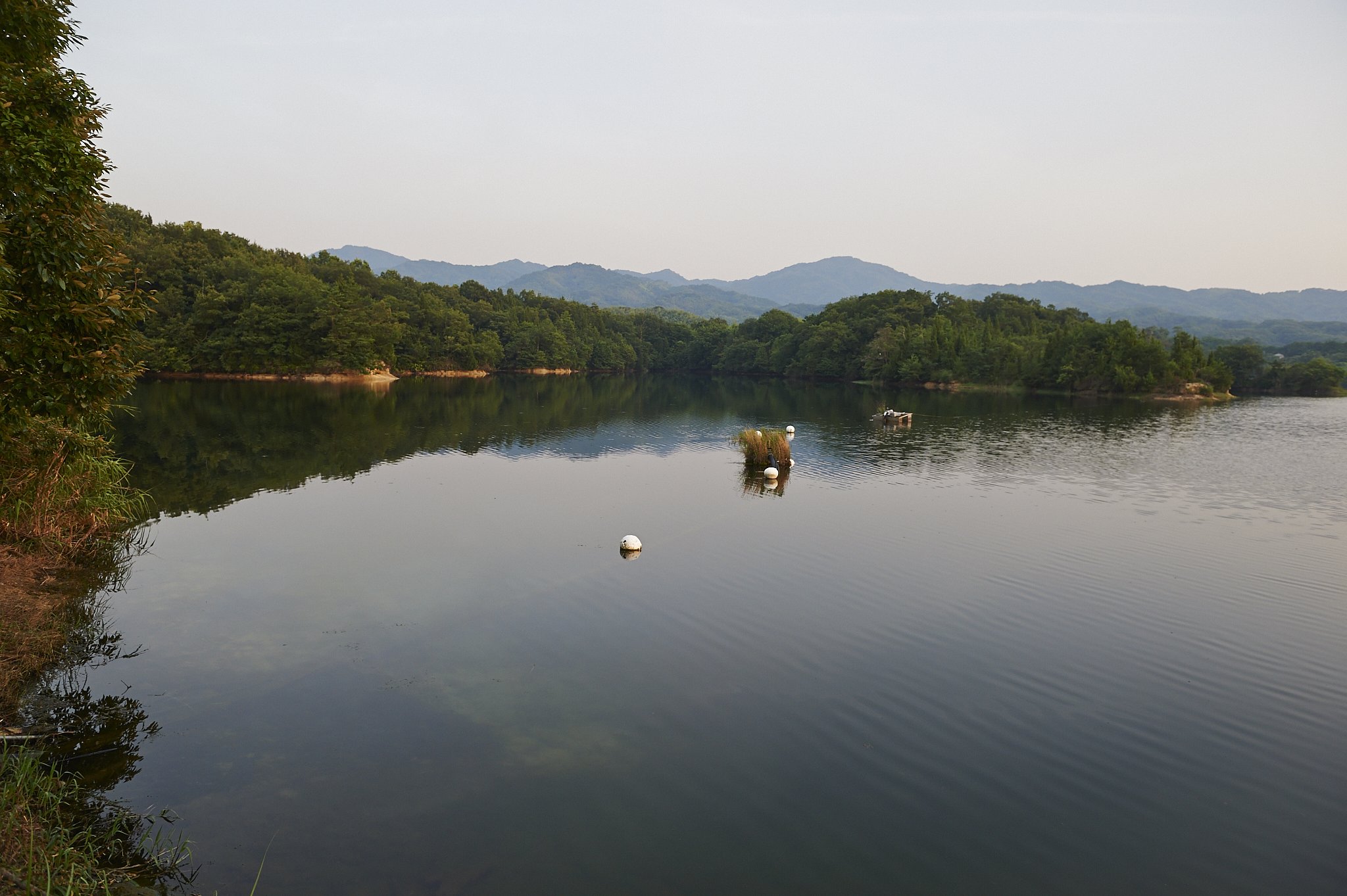 溜池散歩