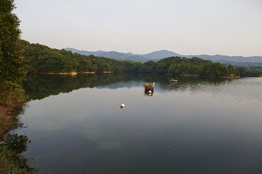溜池散歩