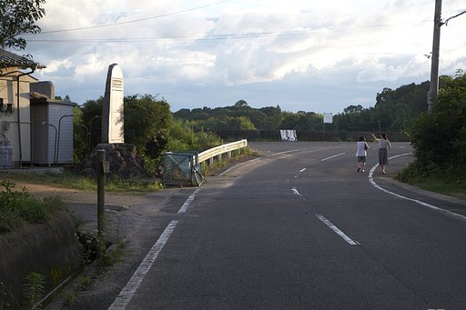 溜池散歩