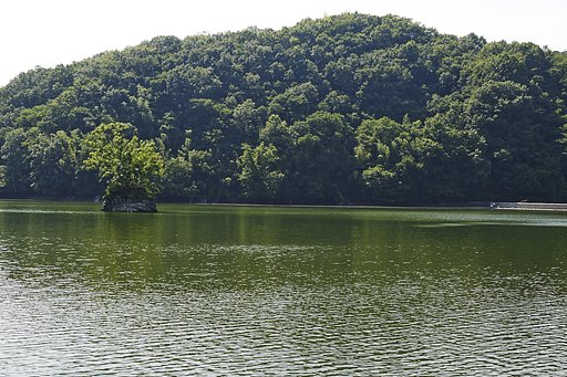 溜池散歩