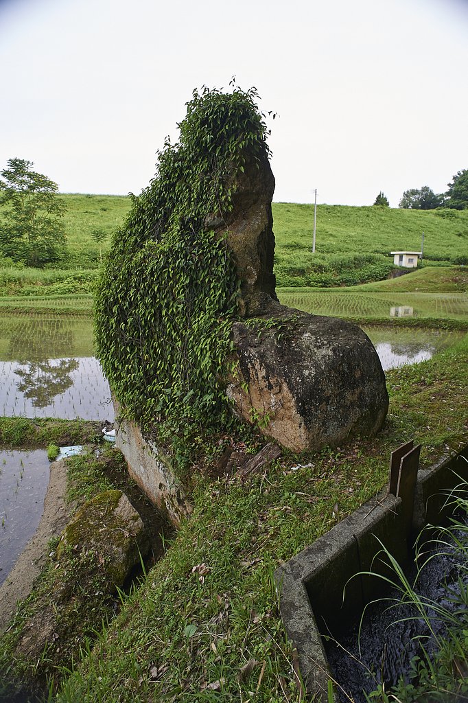 溜池散歩