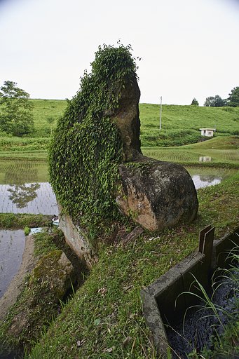 溜池散歩