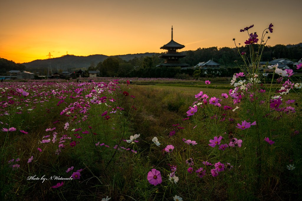 奈良県斑鳩の夕暮れ