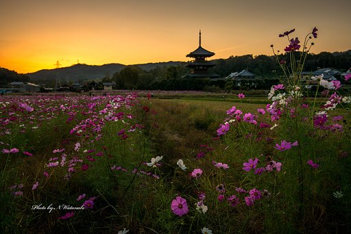 奈良県斑鳩の夕暮れ