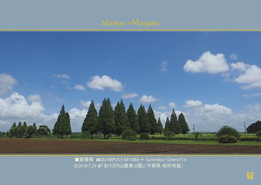 夏模様