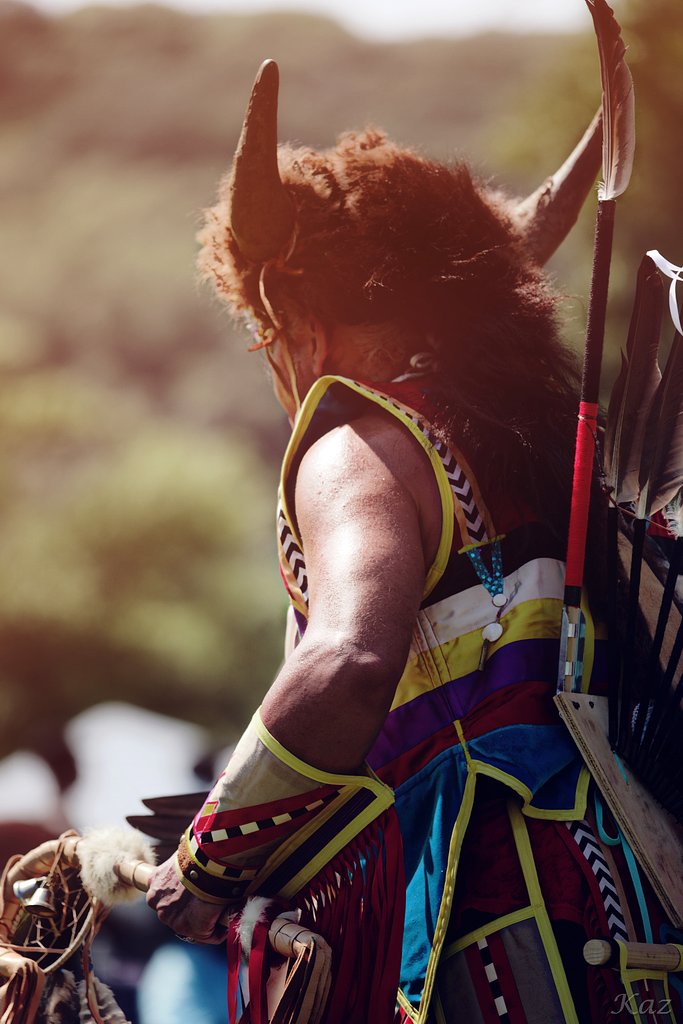 Indian Warrior 2