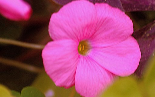 TAMRON 80-210mmF3.8-4　CF TELE-MACRO 　