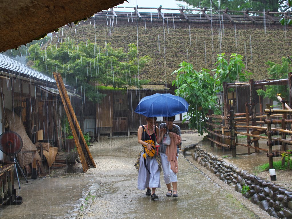 ED 25mm F1.2 Pro