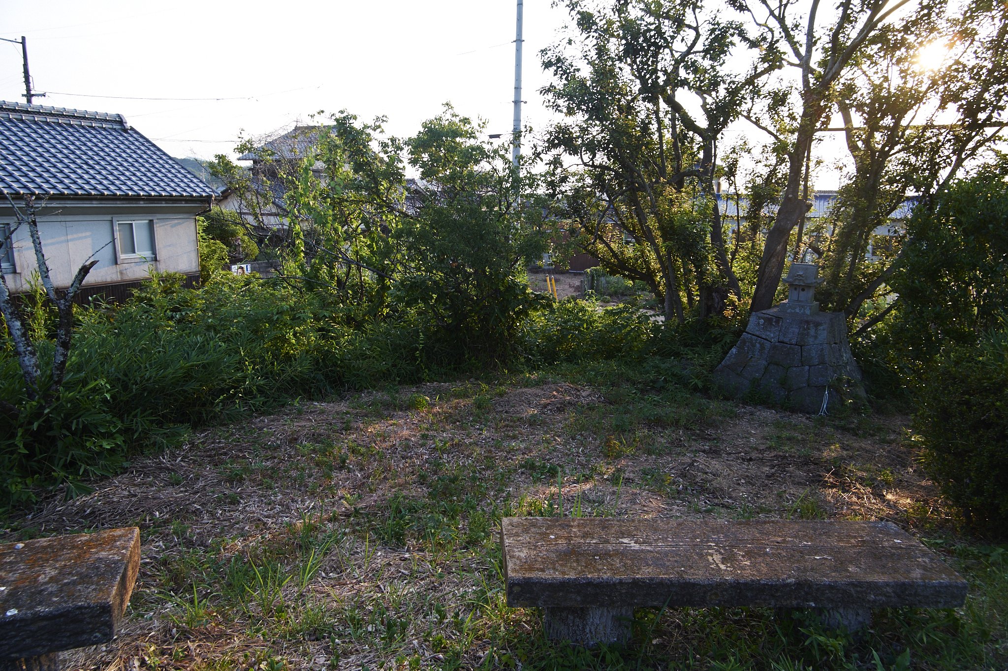 溜池遊記