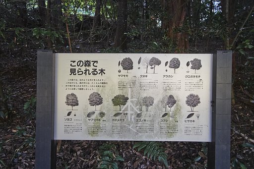 溜池遊記