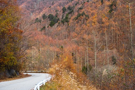 晩秋の甲州路