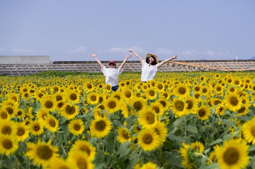 女子はみな　