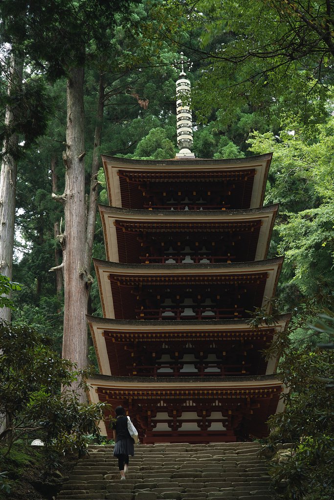 女人高野