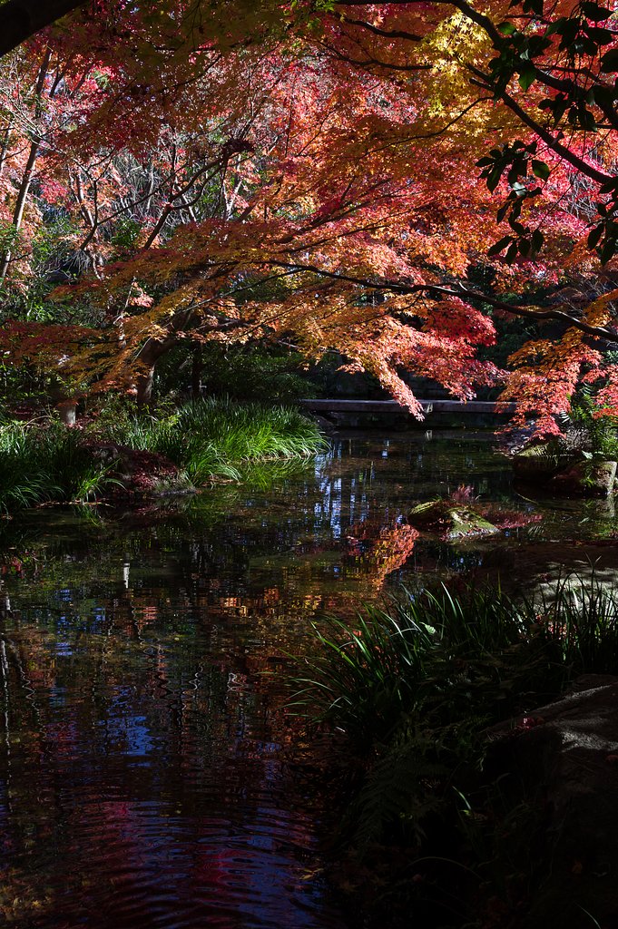 芳松庵