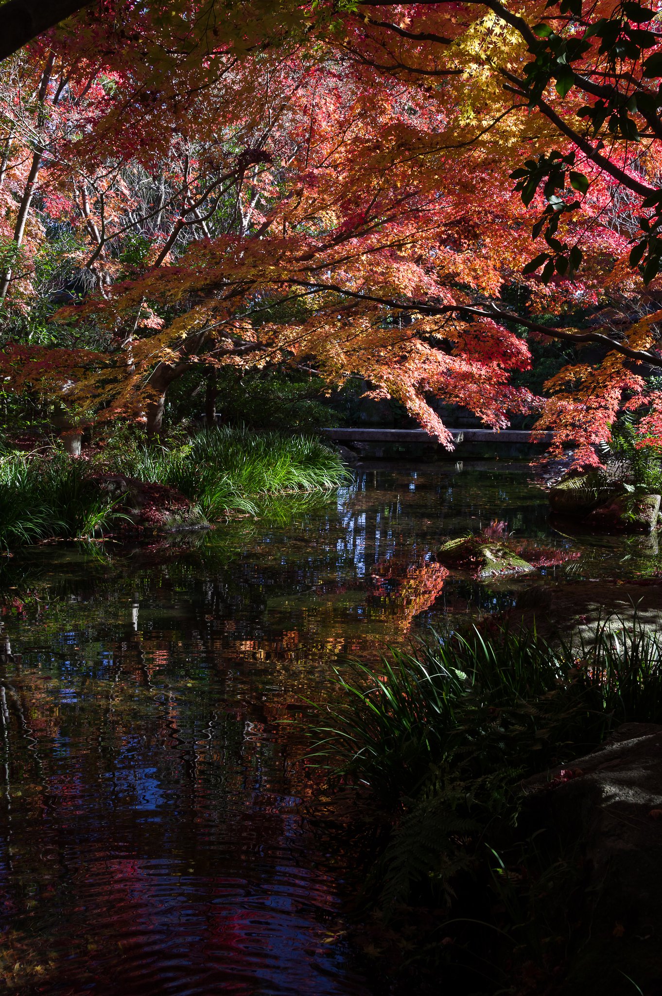 芳松庵