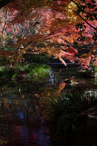 芳松庵