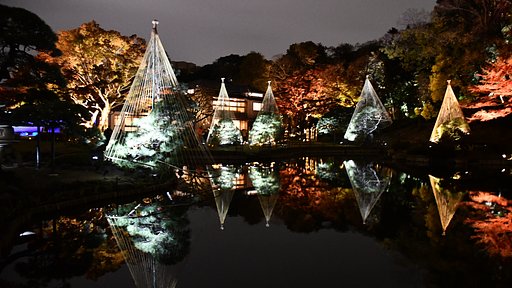 ライトup紅葉