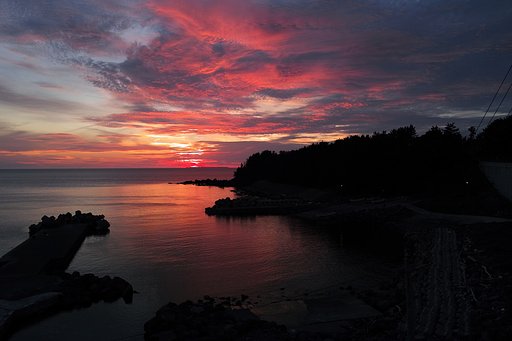 1月10日の写真