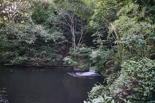 溜池放浪