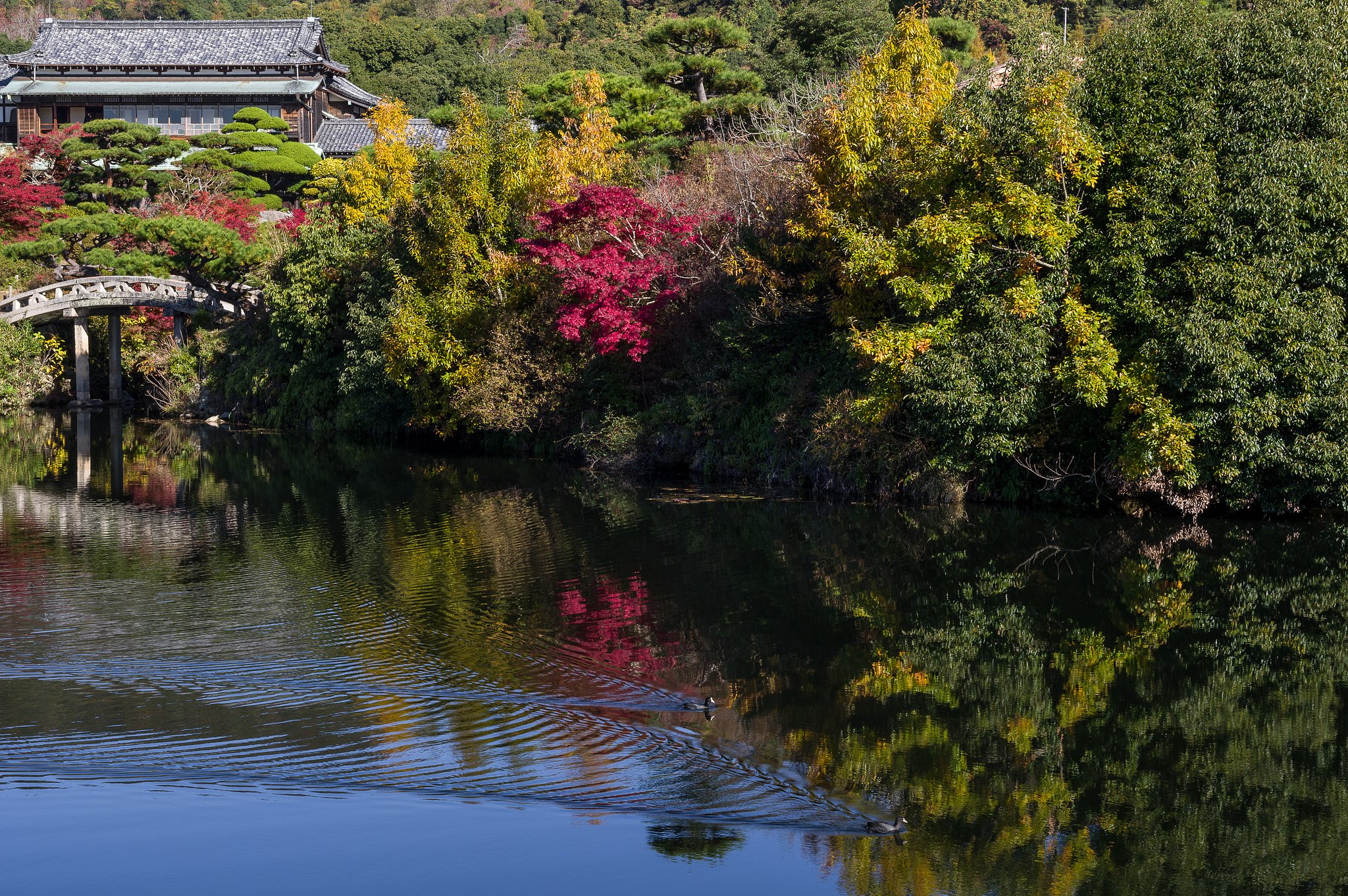 SIGMA 17-50mm F2.8 EX DC HSM 