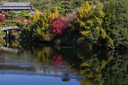 SIGMA 17-50mm F2.8 EX DC HSM 