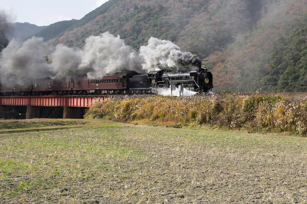 D51