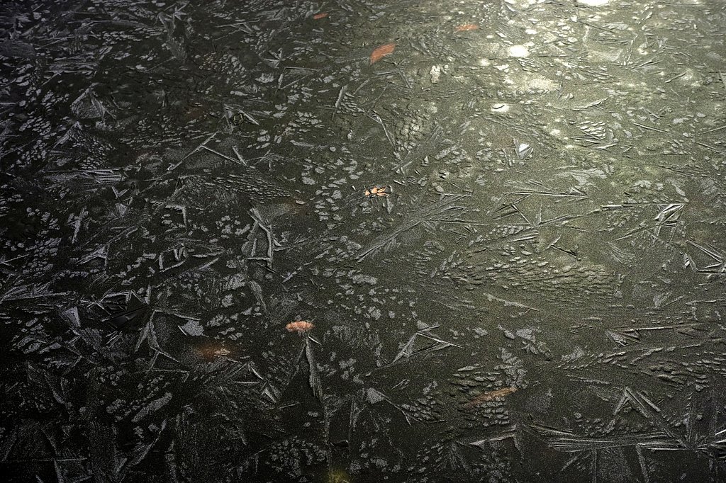 池の氷