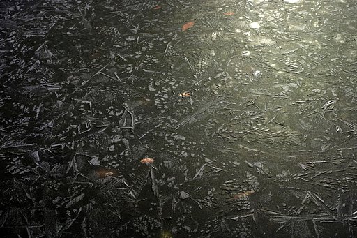 池の氷