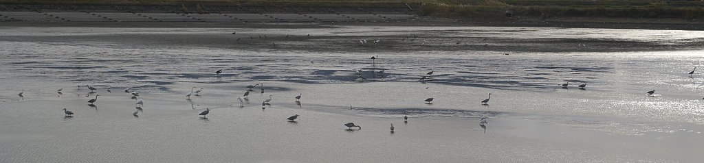 涸れ池