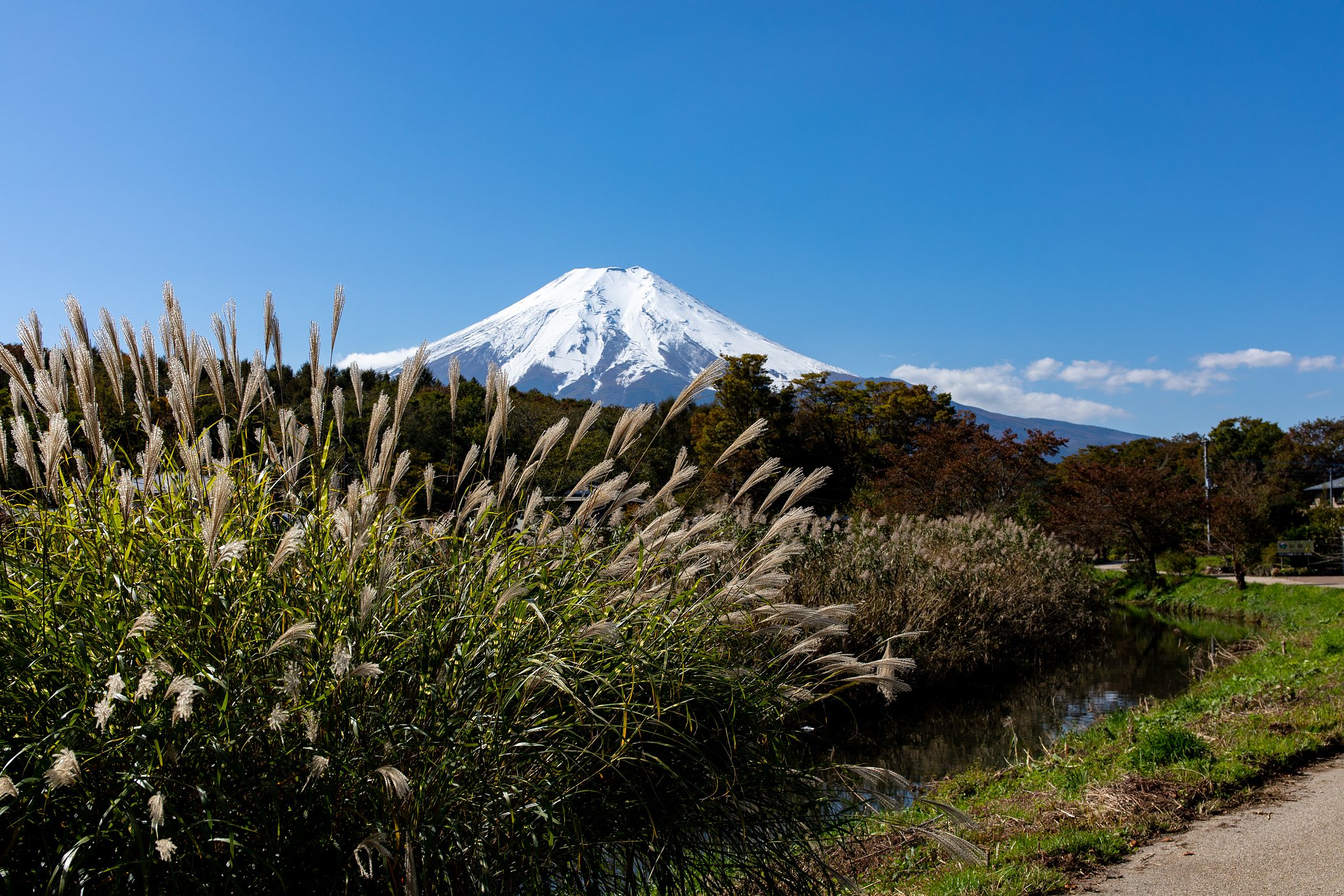 EF24-70mm F4 L IS