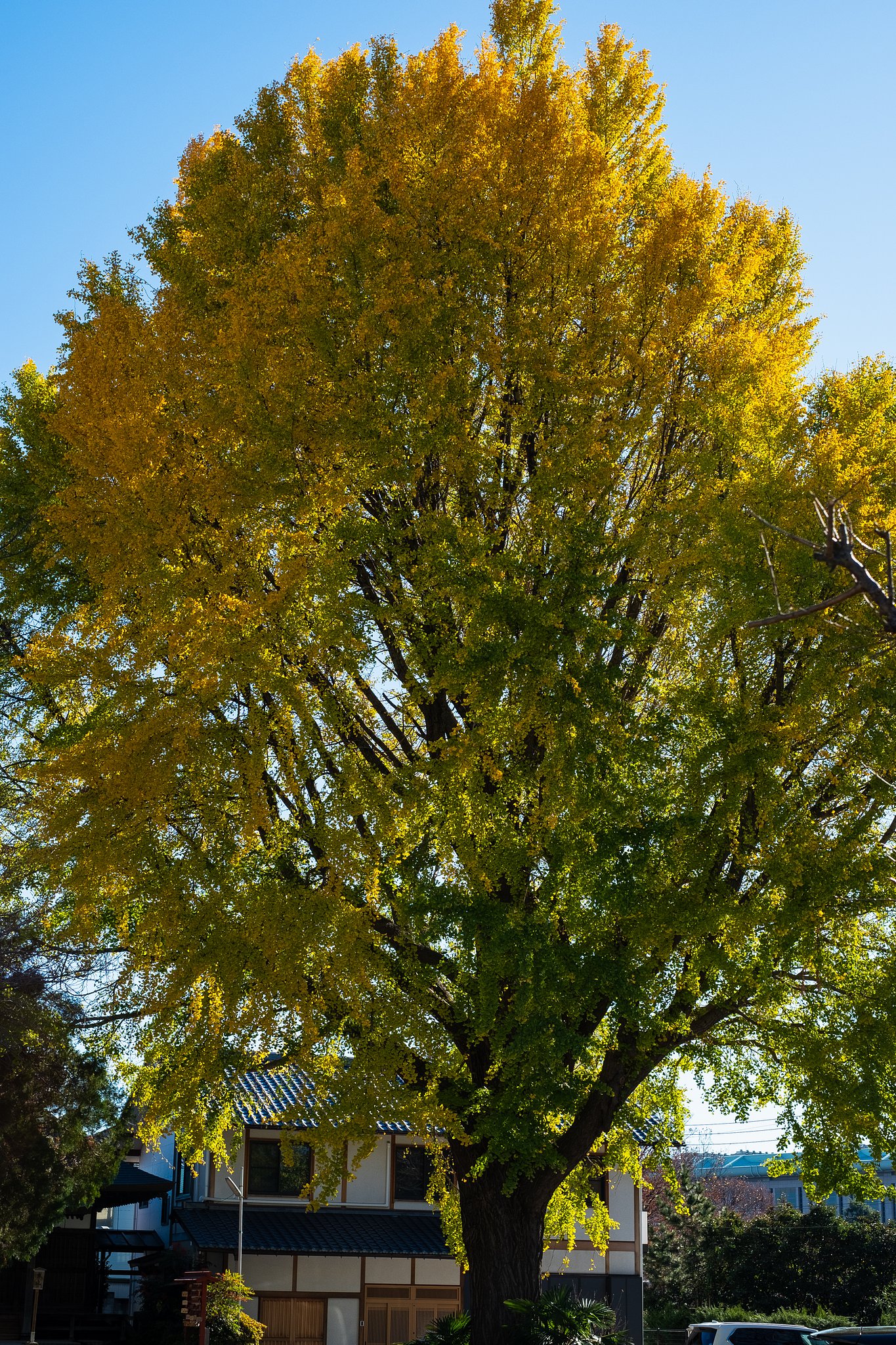 FUJINON XF35mmF1.4 R