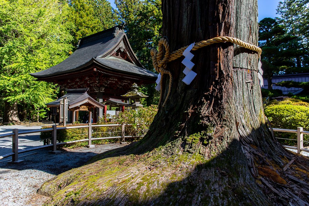 EF24-70mm F4 L IS