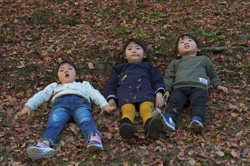 Lullaby Of The Leaves.