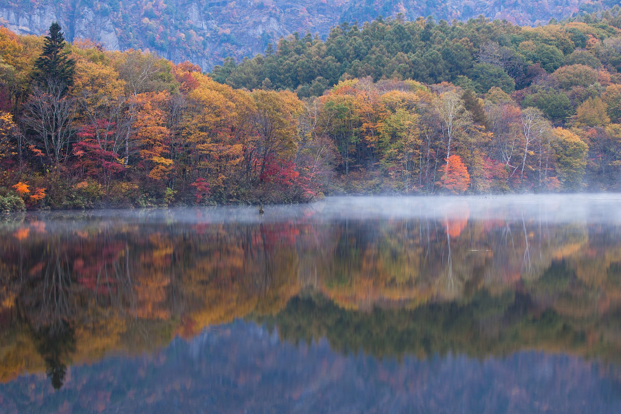 紅葉鏡池