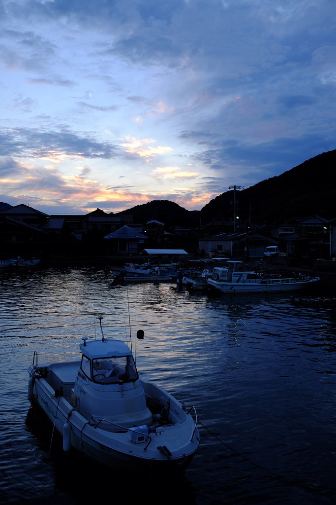 海