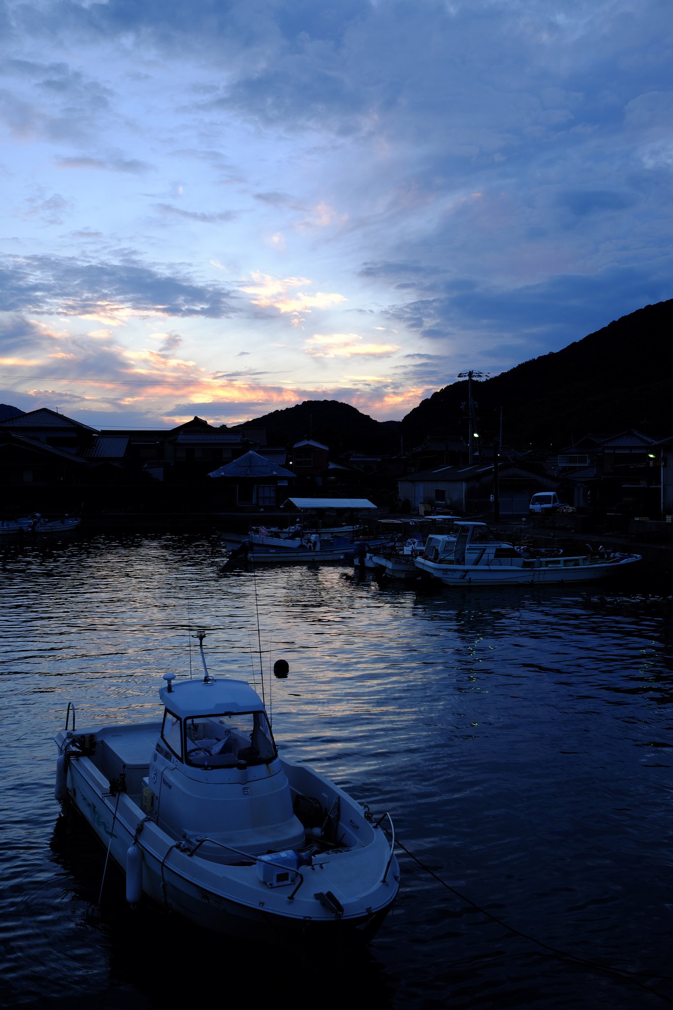 海